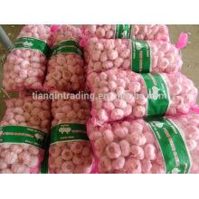 Bulk Garlic for Sale